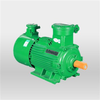 Explosion-proof AC Electric Motor