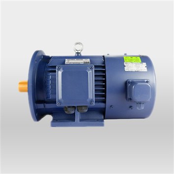 Variable Frequency AC Electric Motor